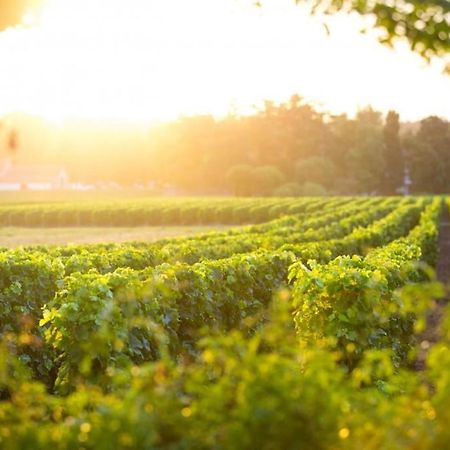 Willa La Cle Des Vignes Saint-Médard-dʼEyrans Zewnętrze zdjęcie